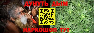 крисы Жуковский
