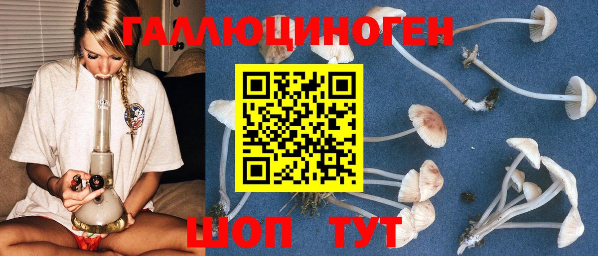 Псилоцибиновые грибы прущие грибы Салехард