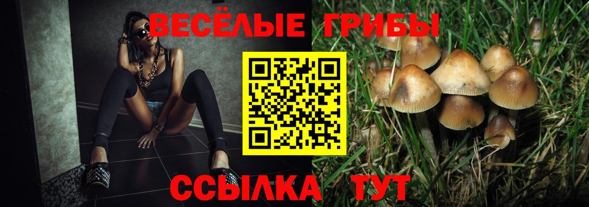 где купить наркоту  Вход с VPN  Салехард  Галлюциногенные грибы GOLDEN TEACHER 